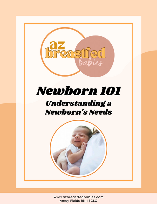 Newborn 101 Ebook