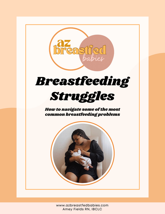 Breastfeeding Struggles Ebook